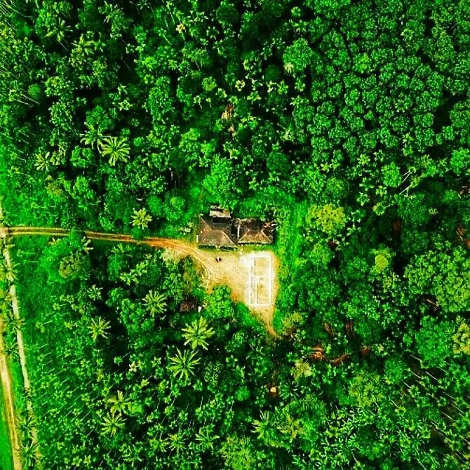 Swastha Plantation Homestay Kaniyāmbetta 0*,