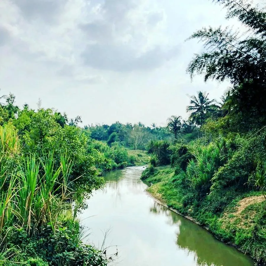 Swastha Plantation Homestay Kaniyāmbetta 0*,  India